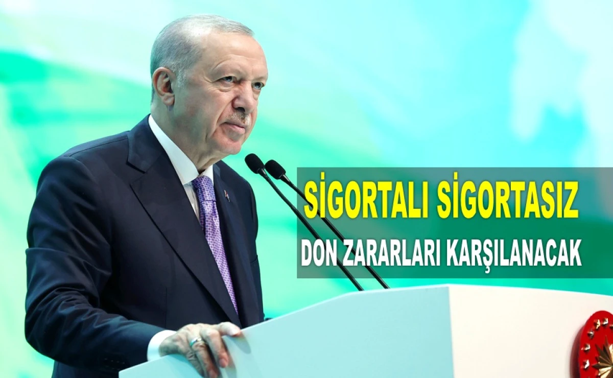 ERDOĞAN'DAN FINDIK ÜRETİCİLERİNE BEKLENEN MÜJDE