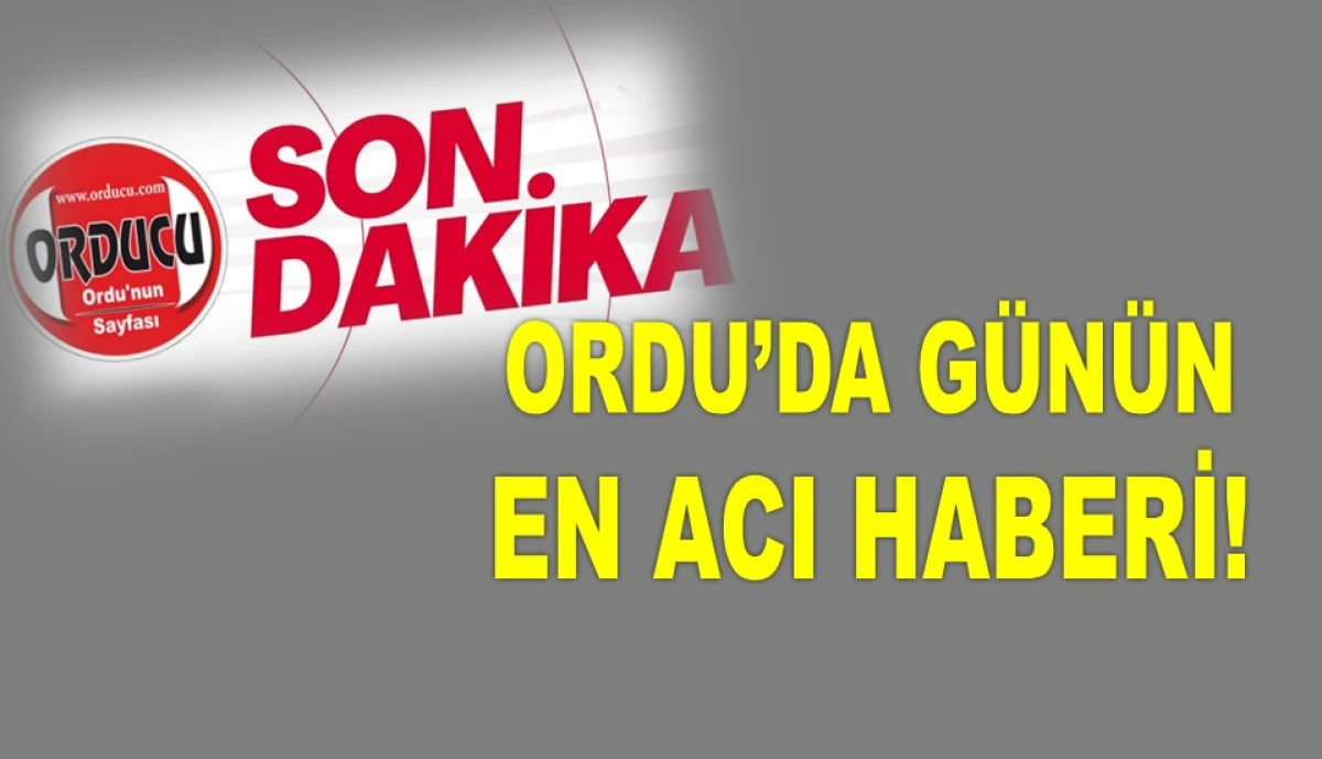 EŞİ ODUN KESERKEN YAŞANAN KAZADA HAYATINI KAYBETTİ