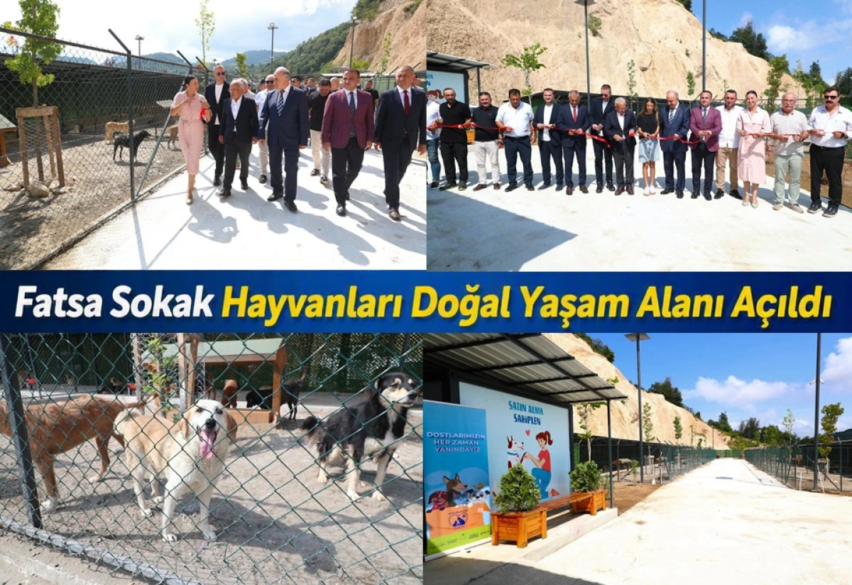 Fatsa'da 350 Sokak Hayvanı İ&ccedil;in Yeni Bir Yuva