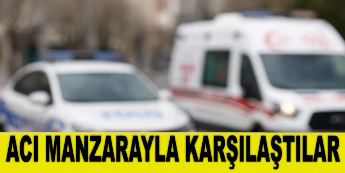 Fatsa'da Yalnız Yaşadığı Evde Cansız Bedeni Bulundu