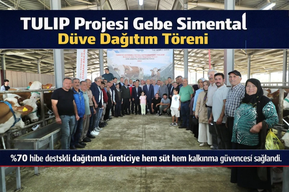 Fatsa'da Y&uuml;zde 70 Hibe Destekli 80 D&uuml;ve Verildi