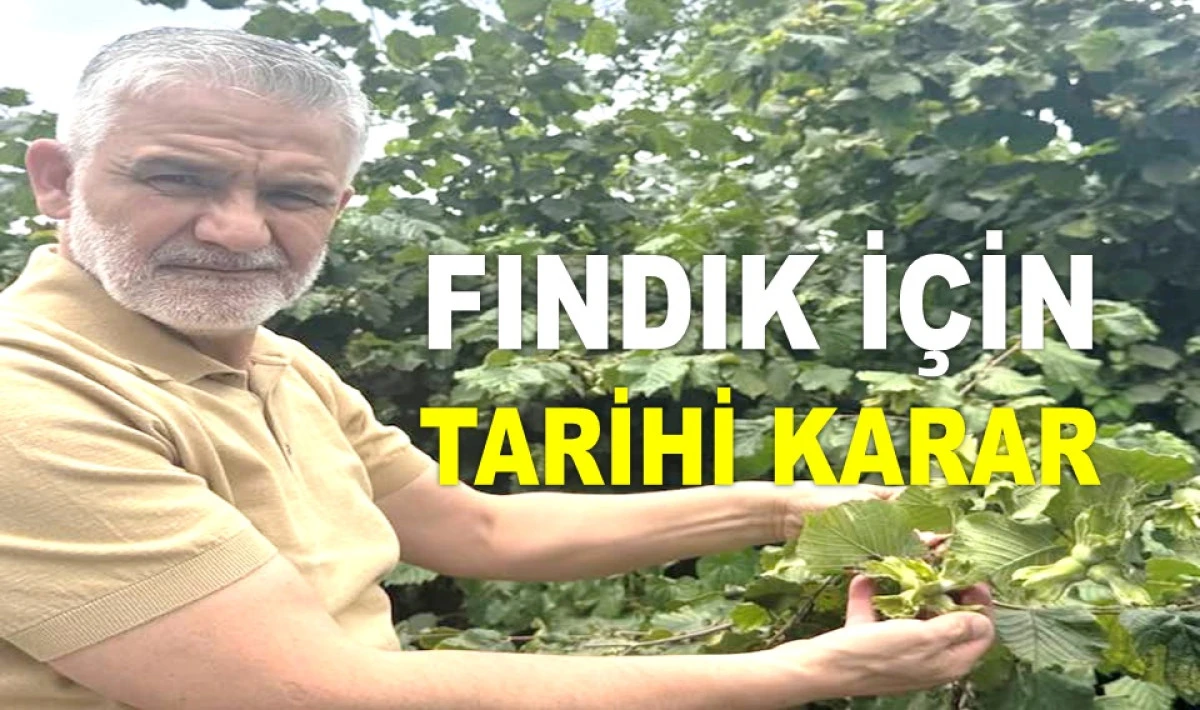 FERRERO ARTIK FINDIK ALAMAYACAK, İHRACAT YAPAMAYACAK