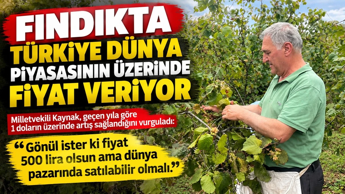 'Fındığa D&uuml;nya 4 Dolar, Biz 5,34 Dolardan Veriyoruz'