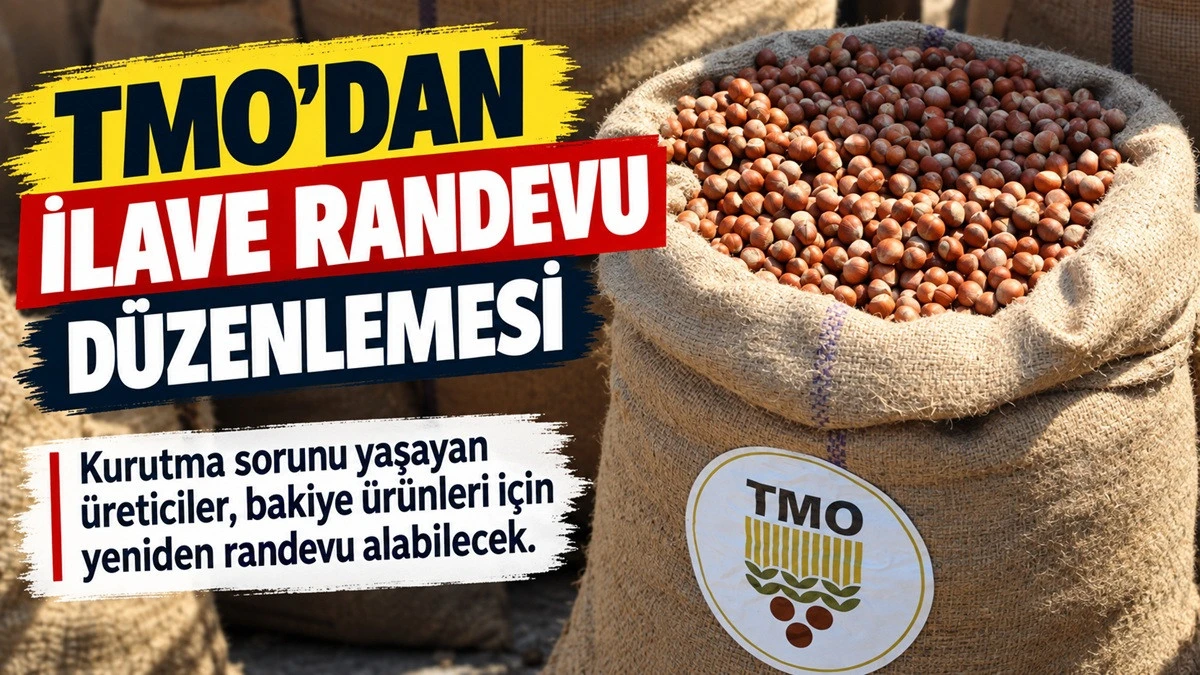 Fındığını Kurutamayan &Uuml;reticiye TMO&rsquo;dan İlave Randevu!