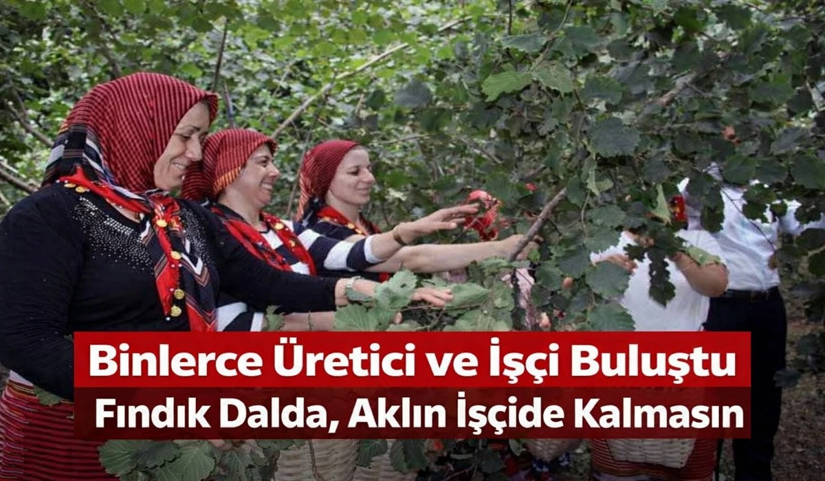 'Fındık Dalda, Aklın İş&ccedil;ide Kalmasın' 7. Sezonuna Hazır