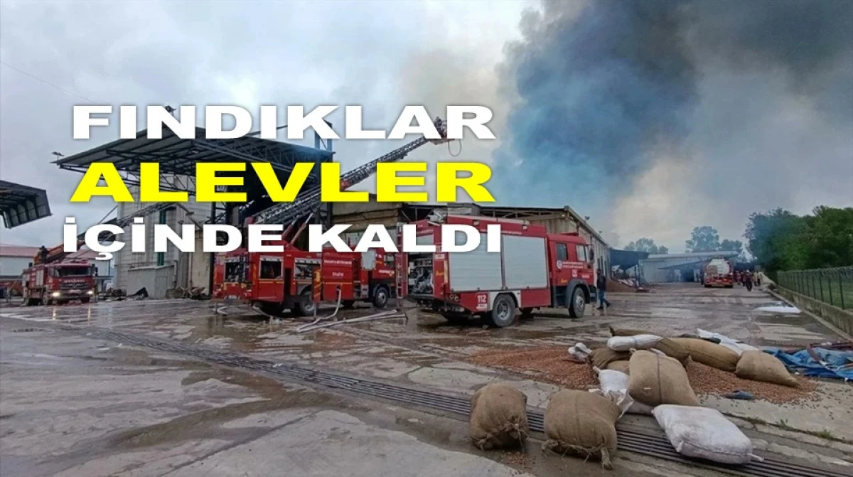 FINDIK FABRİKASINDA YANGIN ÇIKTI