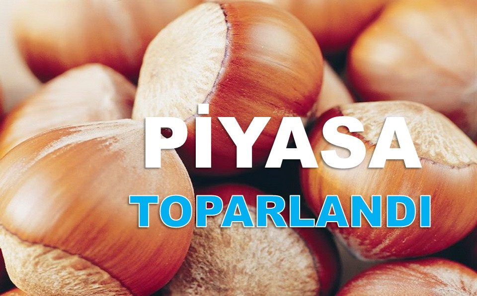 FINDIK FİYATI 120 TL'Yİ GÖRECEK!