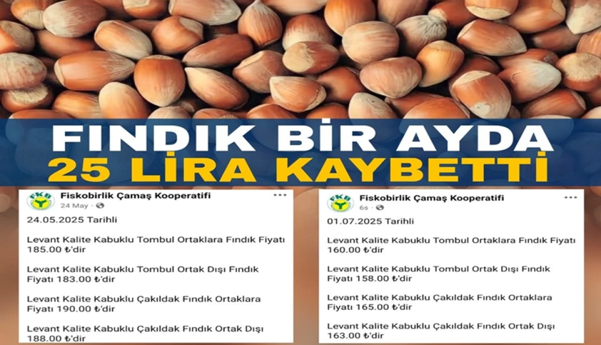 FINDIK FİYATI 158 LİRAYA GERİLEDİ