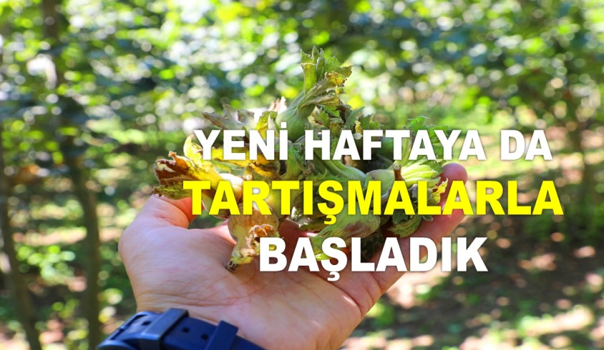 FINDIK FİYATI İÇİN GÖZLER BU HAFTAYA ÇEVRİLDİ