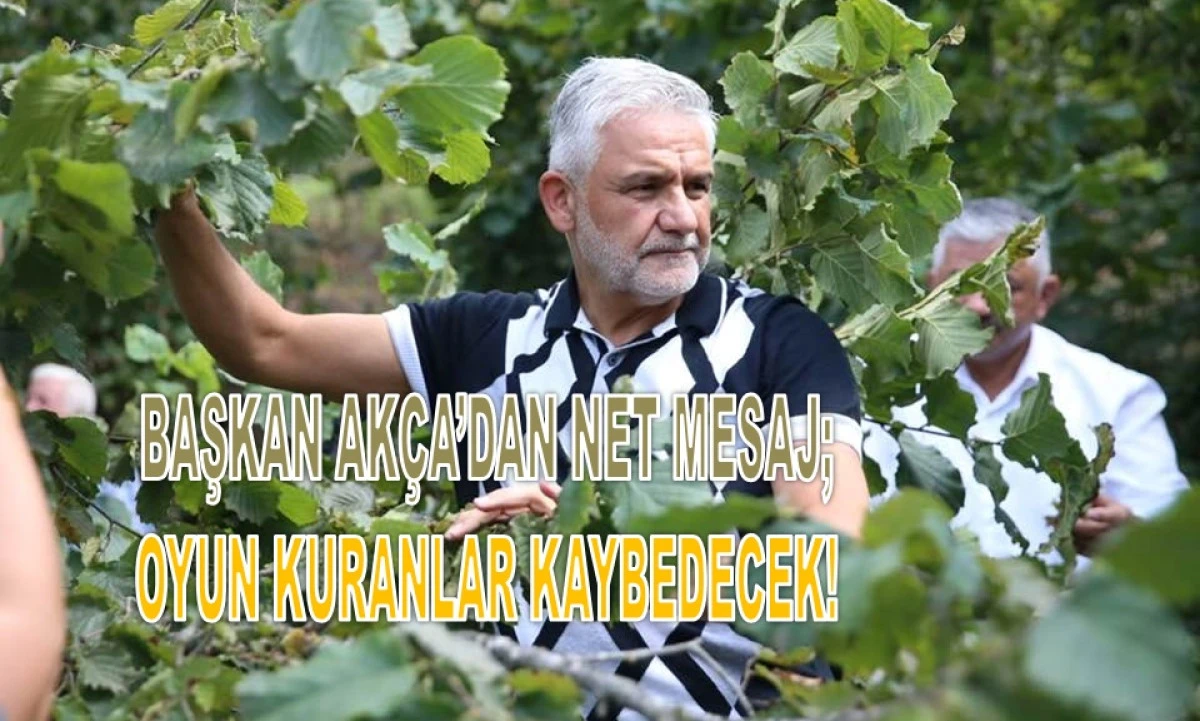 'Fındık Fiyatı Ocak Ayının İkinci Yarısında Artacak'