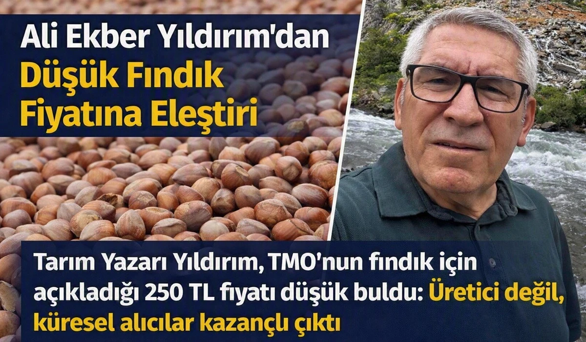 'Fındık Fiyatı &Uuml;reticiye Değil, Alıcılara Yaradı'