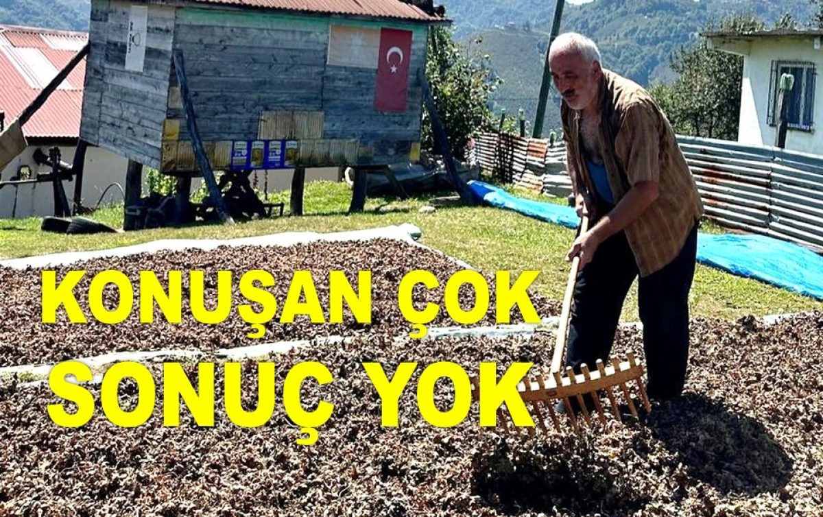 FINDIK FİYATINDAKİ DURGUNLUĞA ÇÖZÜM YOK! 
