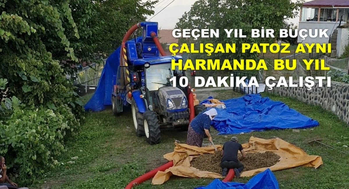 FINDIK FİYATINDAKİ YÜKSELİŞİN SIRRI PATOZDA