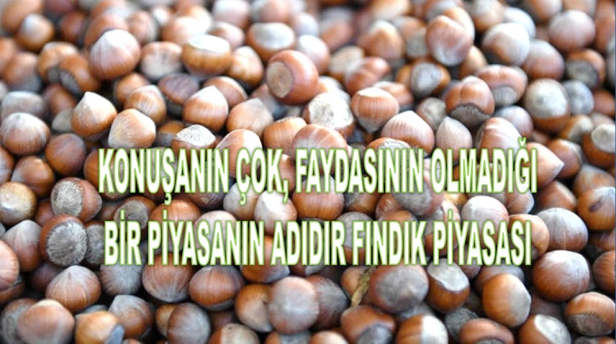FINDIK FİYATINI 80 TL DÜŞÜRENLER KİM?
