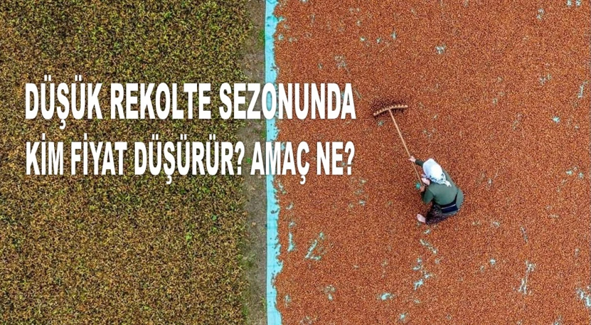 FINDIK FİYATININ BİN TL OLACAĞI İDDİASINDA ISRARLI