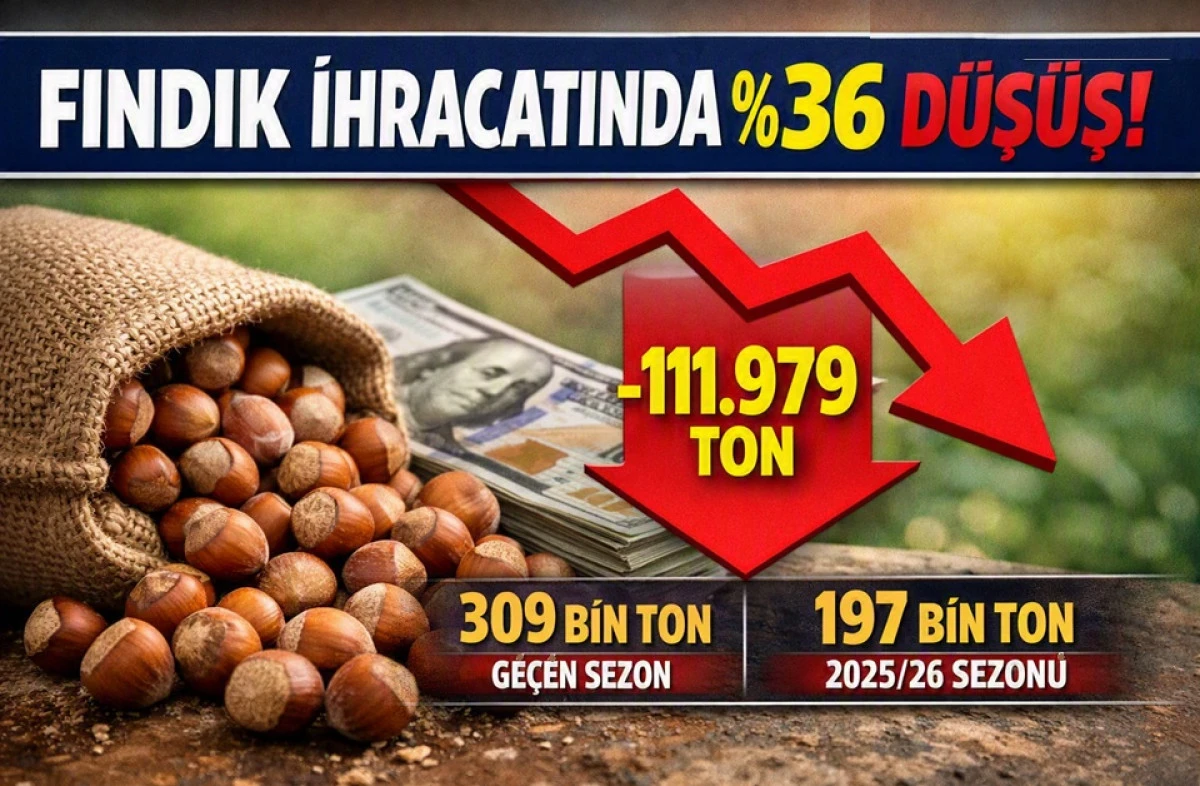 Fındık İhracatı Sezonu 2,5 Milyar Dolar Gelirle Kapattı