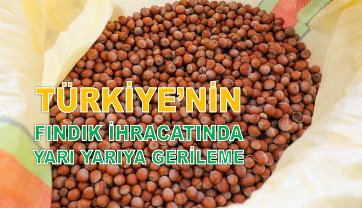 Fındık İhracatında 6 Aylık Gelir 1,1 Milyar Dolar!