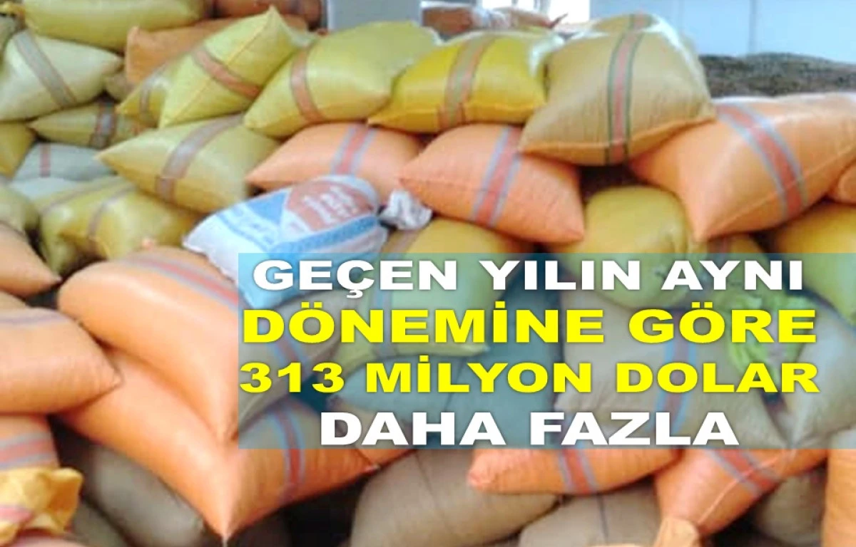 FINDIK İHRACATINDA BİR TARİHİ REKOR DAHA GELDİ