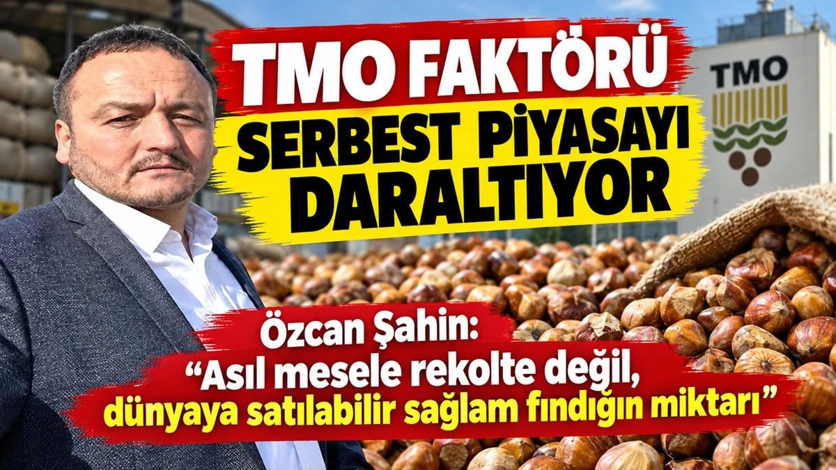 Fındık Piyasasında Kilitlenme: 'Mal Var, Kalite Yok'