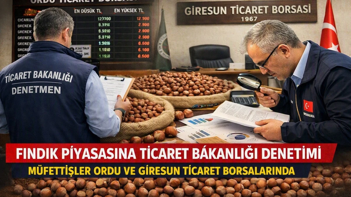 Fındık Piyasasında M&uuml;fettiş Denetimi Tamamlandı