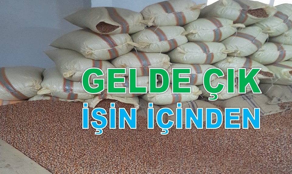 FINDIK SAVAŞTAKİ UKRAYNA'DA 235 TL, TÜRKİYE'DE 100 TL
