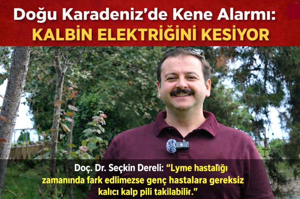 Fındık Sezonunda Sessiz Tehlike: Kene Kalbi Durdurabilir