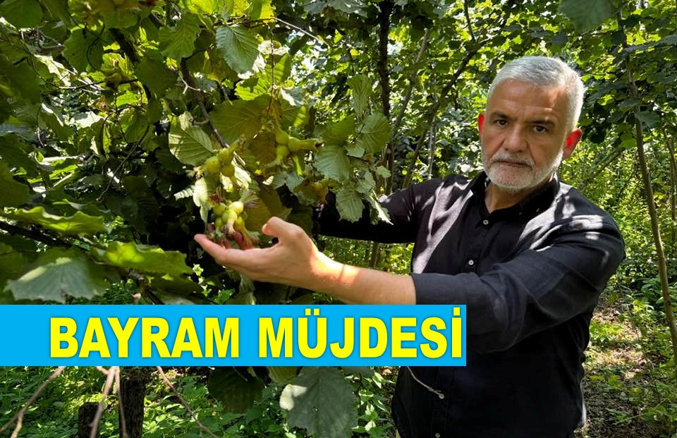 FINDIK ÜRETİCİLERİN HESAPLARINA BUGÜN YATIRILIYOR