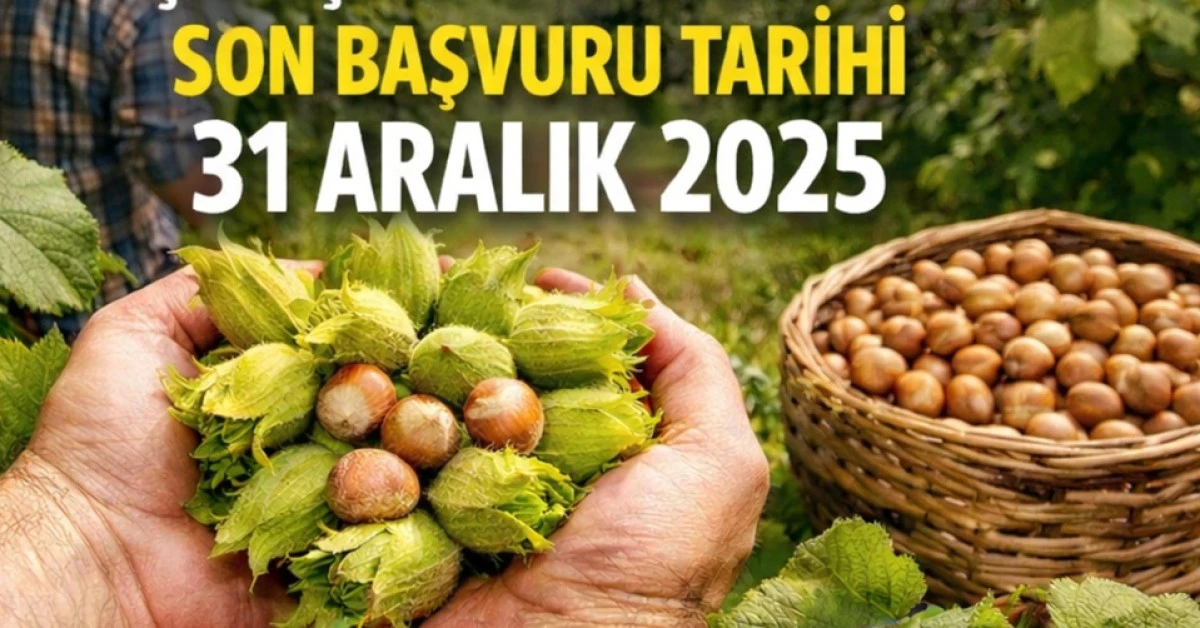 FINDIK &Uuml;RETİCİLERİNE UYARI: BİR HAFTANIZ KALDI