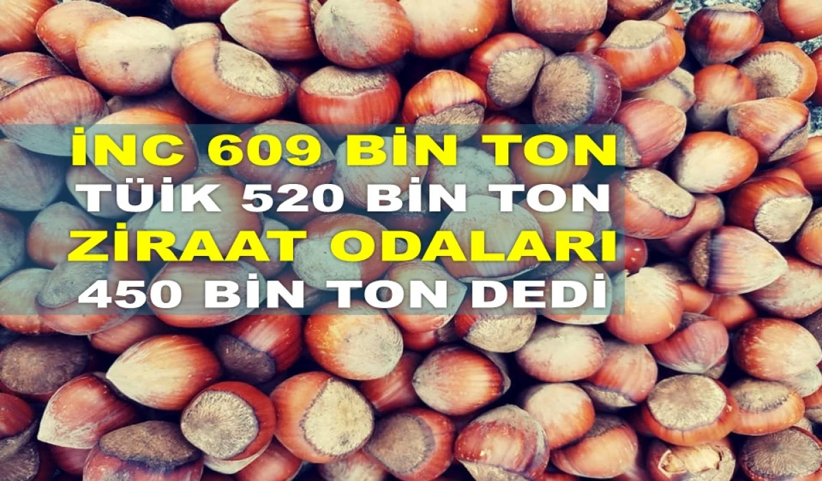 FINDIK ÜRETİCİSİ KİME İNANSIN? HANGİSİ DOĞRU?