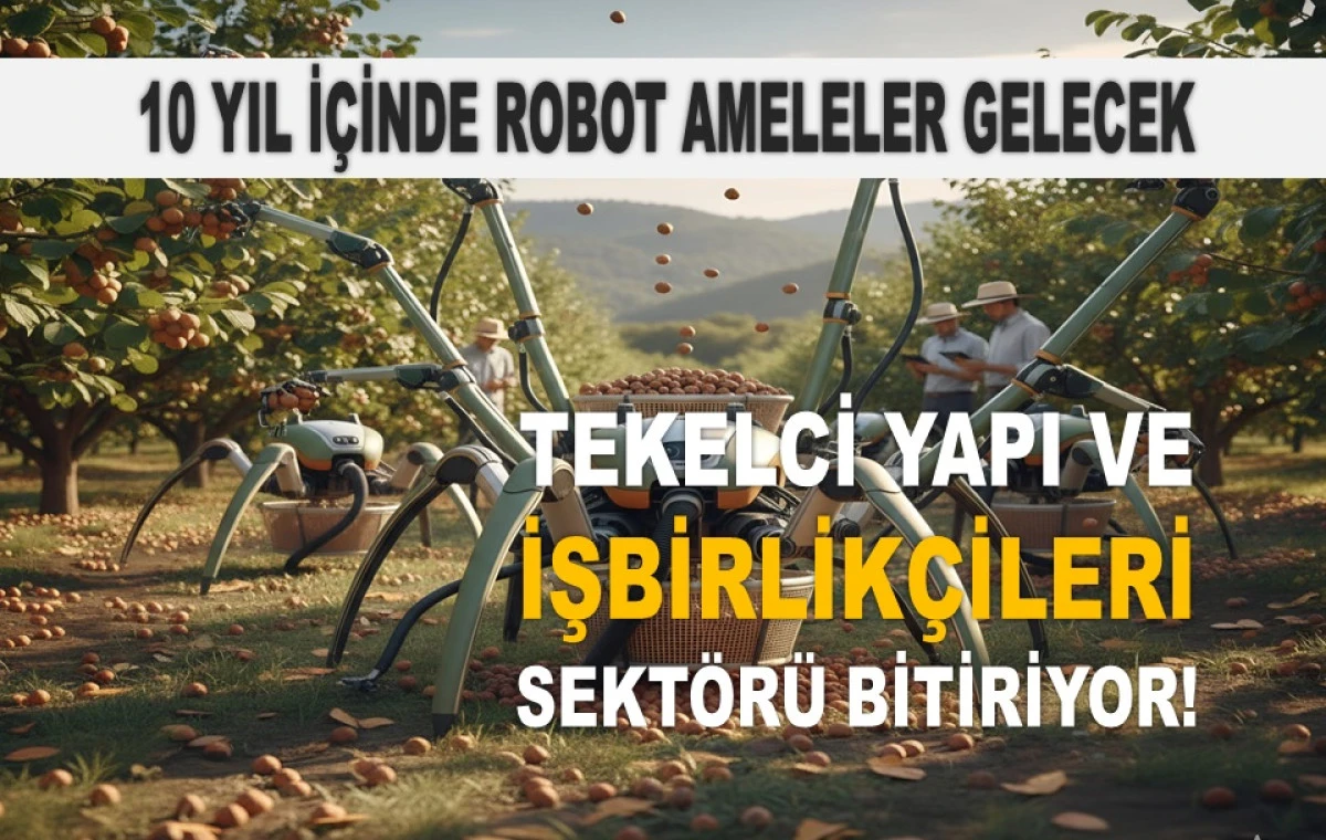 Fındık &Uuml;reticisine Darbe: 'Gizli Plan Ortaya &Ccedil;ıktı'