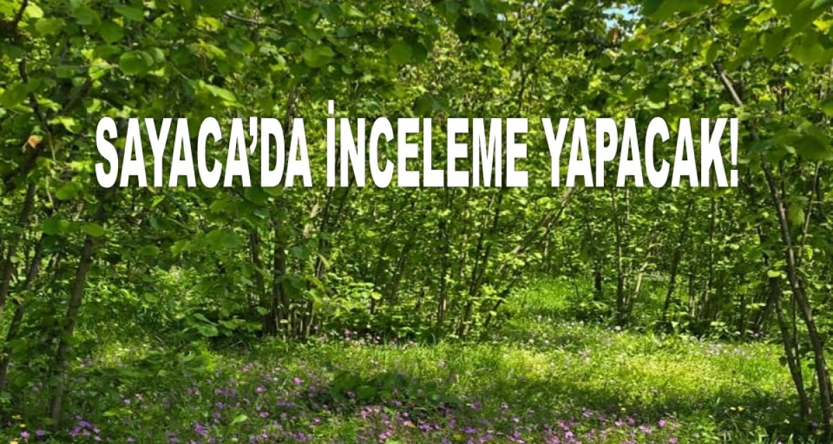FINDIK ZİRAİ DON ARAŞTIRMA KOMİSYONU ORDU'YA GELİYOR