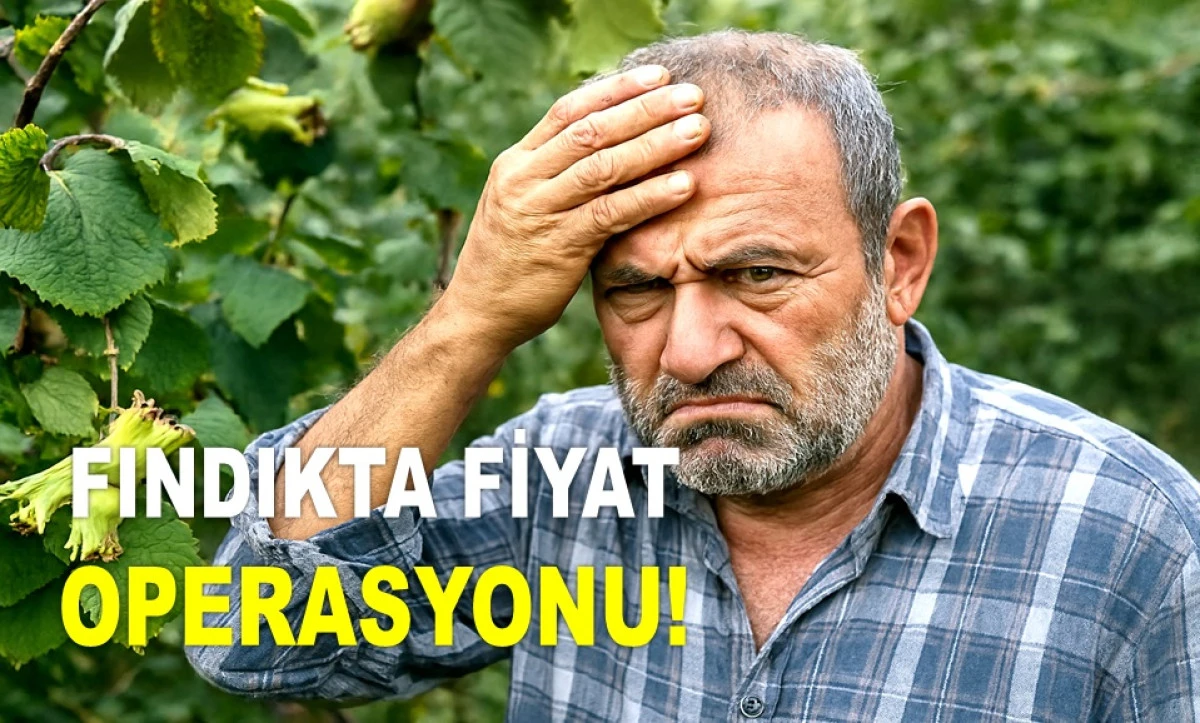 FINDIKTA 40 GÜNDE FİYAT KAYBI 90 LİRA OLDU!