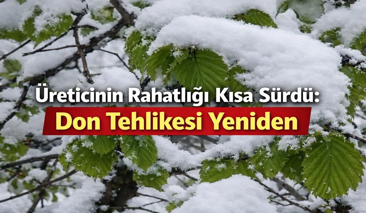 Fındıkta Don Alarmı: &Uuml;reticiye Kritik Uyarı