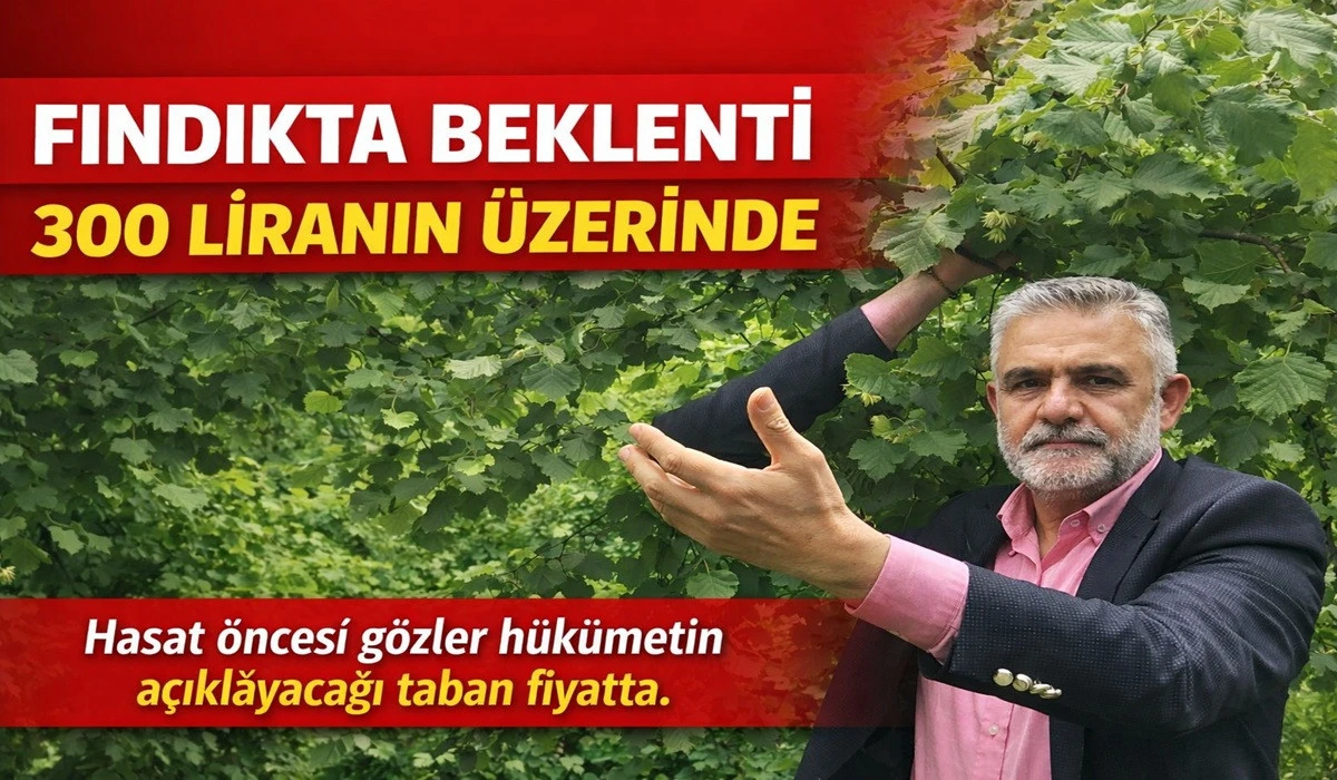 Fındıkta G&ouml;zler Taban Fiyatta: &Uuml;retici 300 Lira Bekliyor