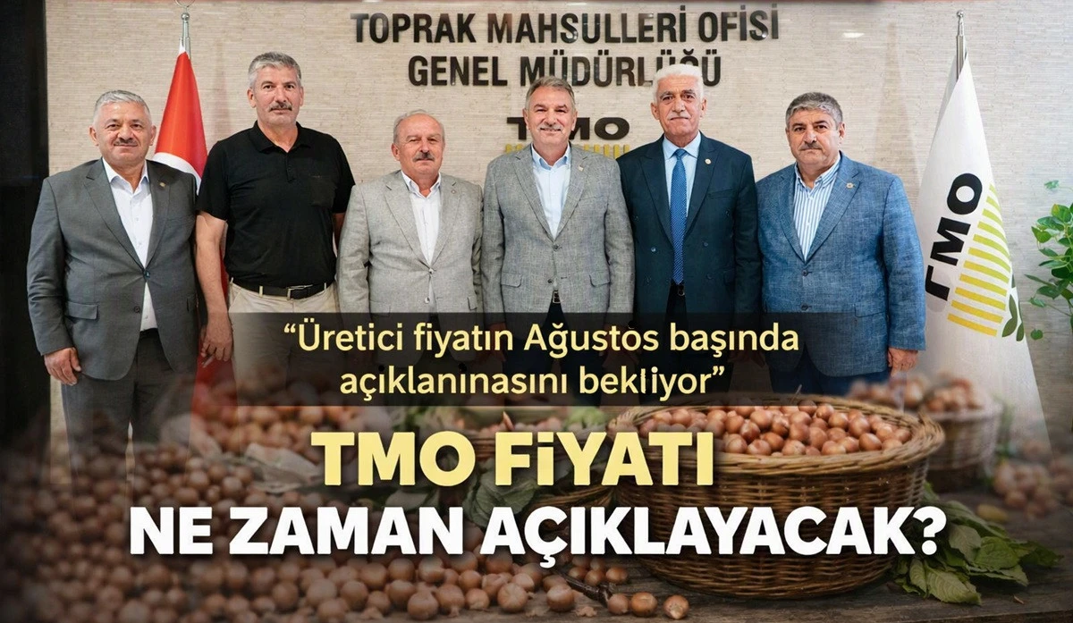 Fındıkta G&ouml;zler TMO&rsquo;da: Ağustos İlk Haftası Bekleniyor