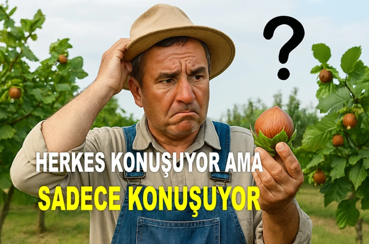 FINDIKTA HERKES KONUŞUYOR AMA FİYAT DEĞİŞMİYOR