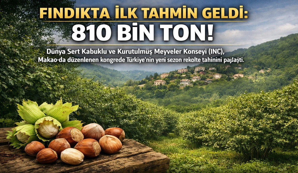 Fındıkta ilk Rekolte Tahmini Geldi: 810 Bin Ton