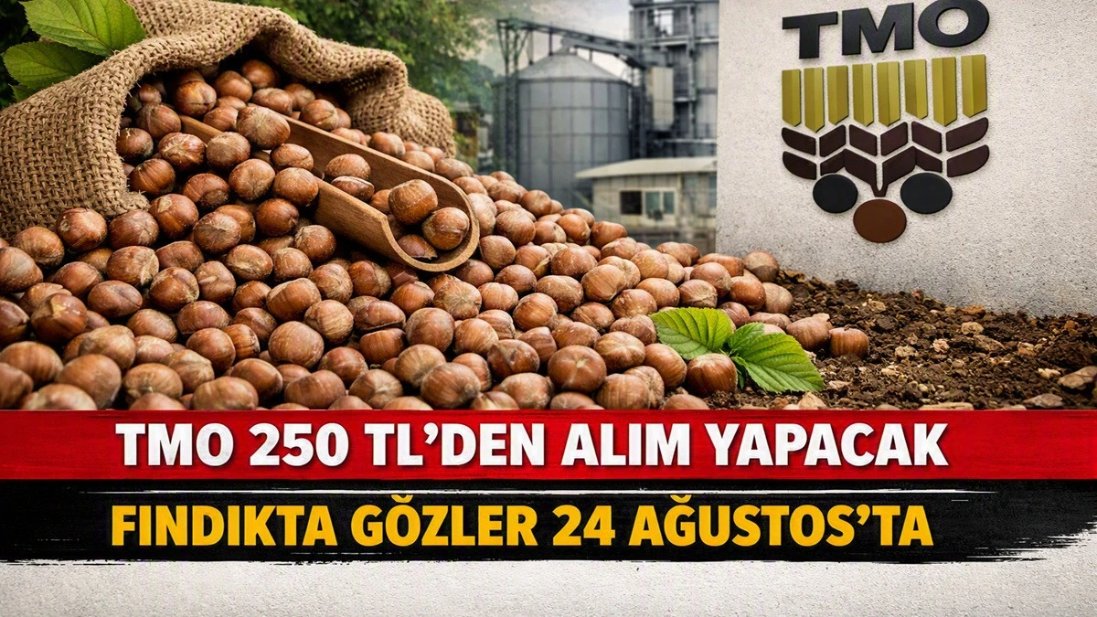 Fındıkta Kritik Tarih 24 Ağustos: Fiyat Y&uuml;kselecek mi?