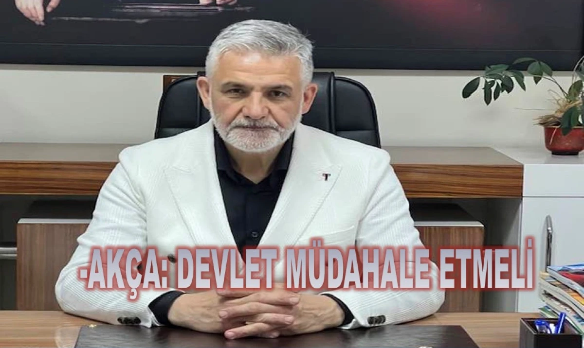 Fındıkta Kriz: Alım Fiyatı 320 TL Olmalı!