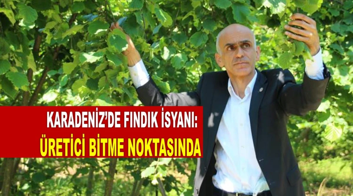 Fındıkta Kriz Derinleşiyor: Karan&rsquo;dan 300 TL Talebi