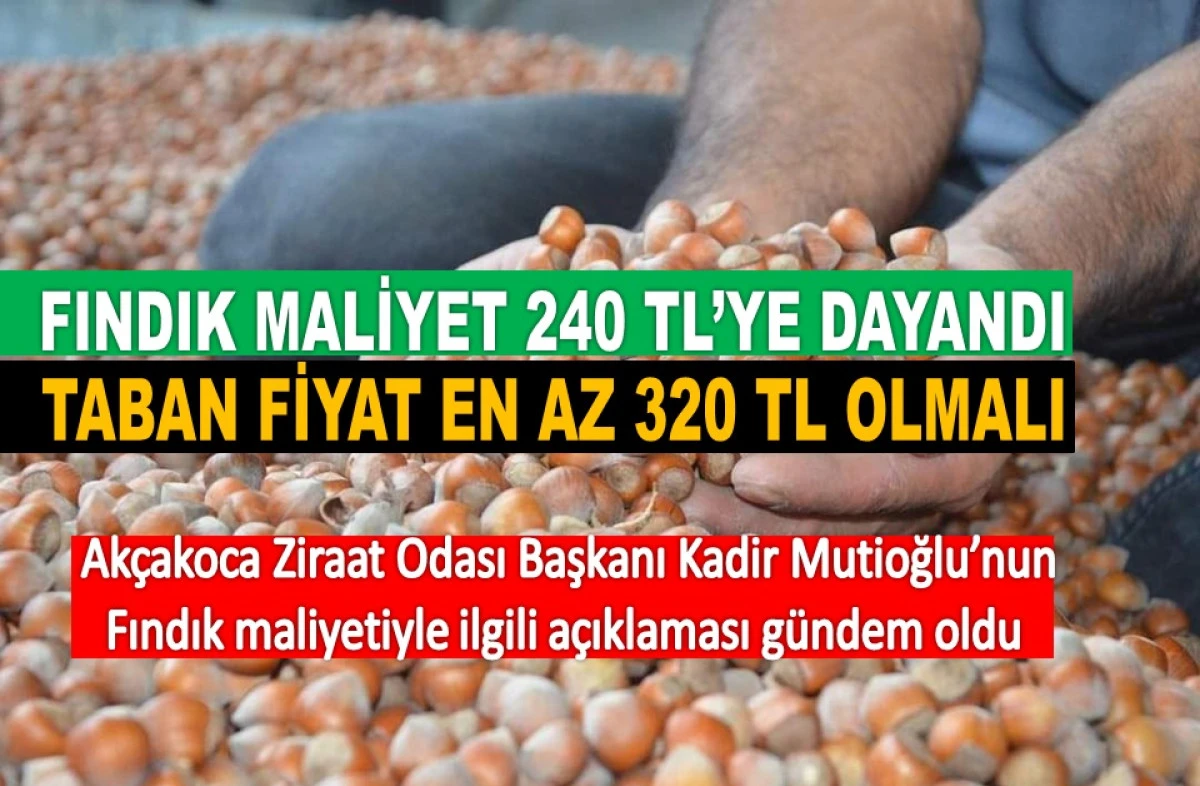 Fındıkta Maliyet 240 TL, Fiyat Talebi 320 TL
