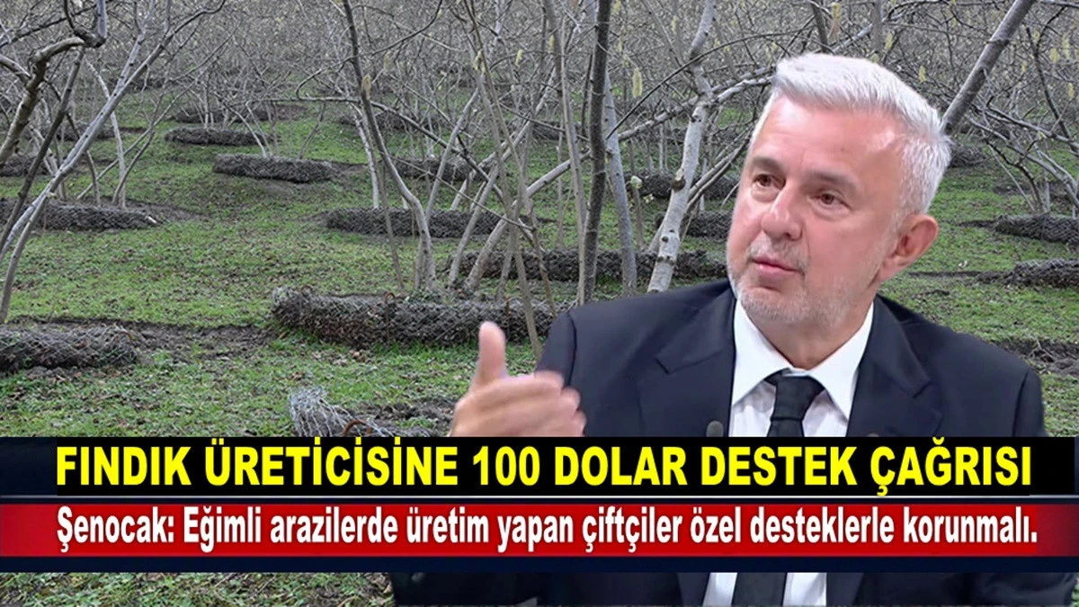 Fındıkta Yeni &Ouml;neri: Dekar Başına 100 Dolar