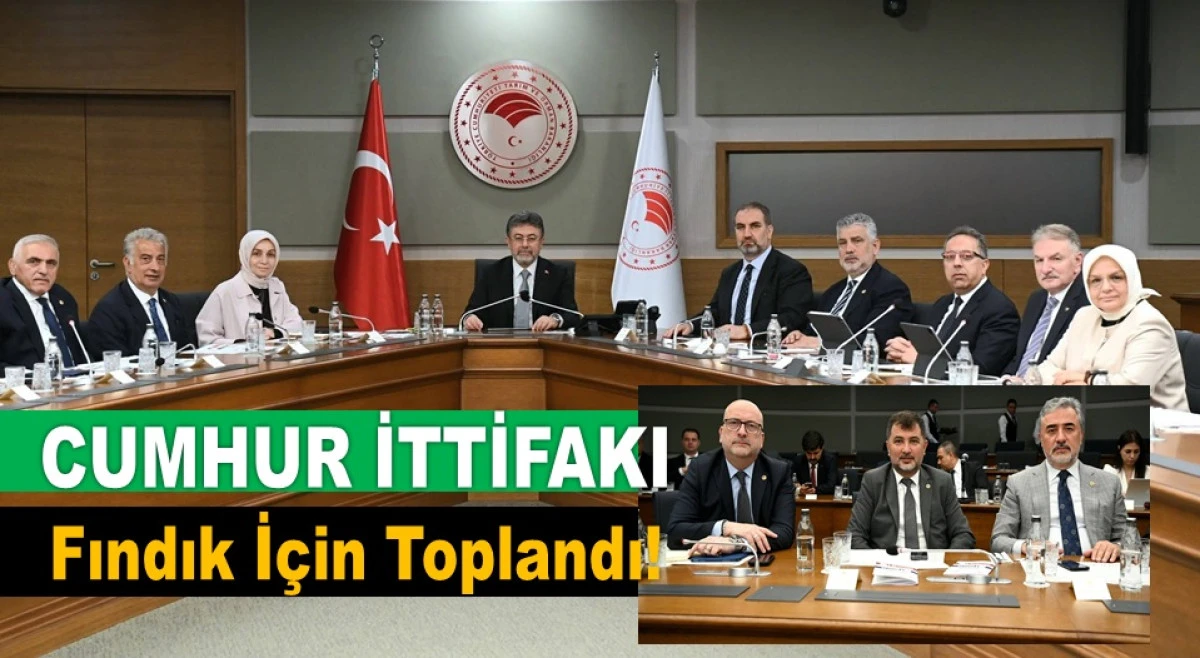 Fındıkta Yeni Sezon &Ouml;ncesi Kritik Toplantı