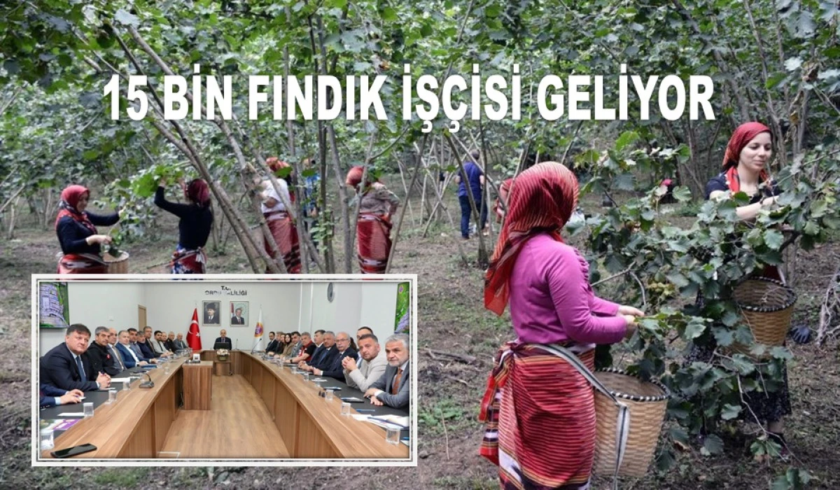 FINDIKTAKİ DAYIBAŞI SORUNU DAMGA VURDU: DENETLENSİN