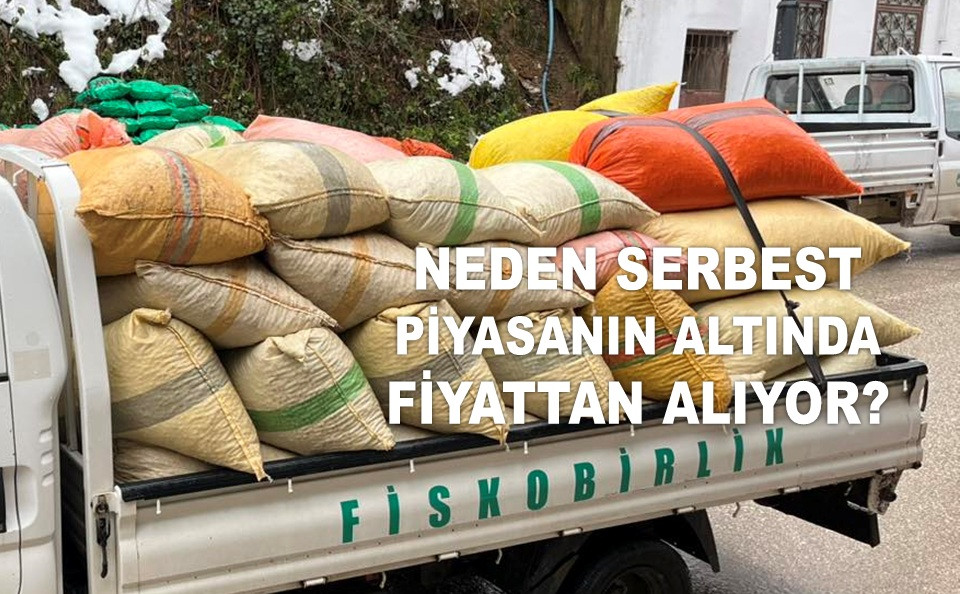 FİSKOBİRLİK FINDIK FİYATINI ARTIRIYOR AMA...