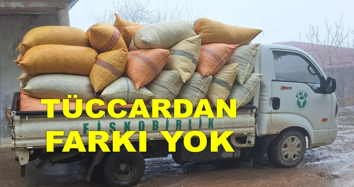 FİSKOBİRLİK'TE DE FINDIK ALIM FİYATI DÜŞTÜ