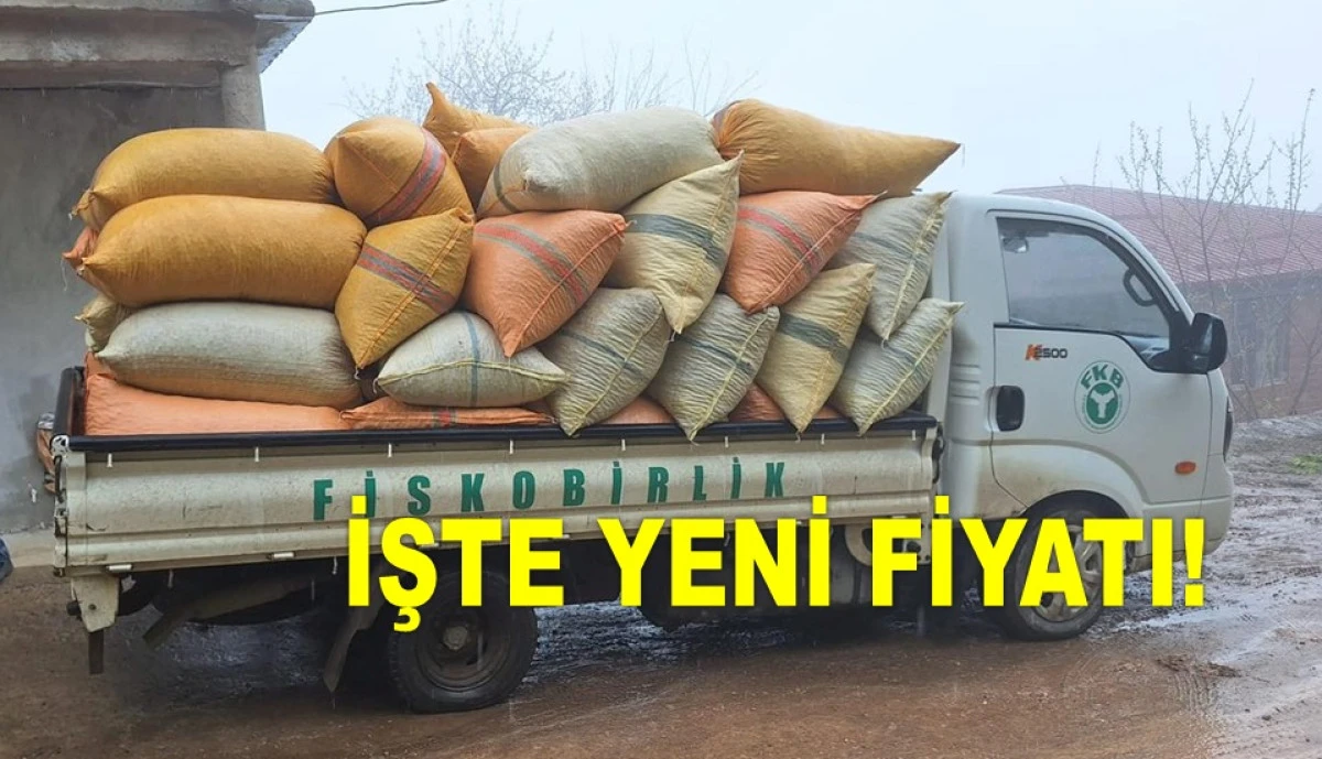 FİSKOBİRLİK'TE FINDIK ALIM FİYATI YÜKSELTTİ