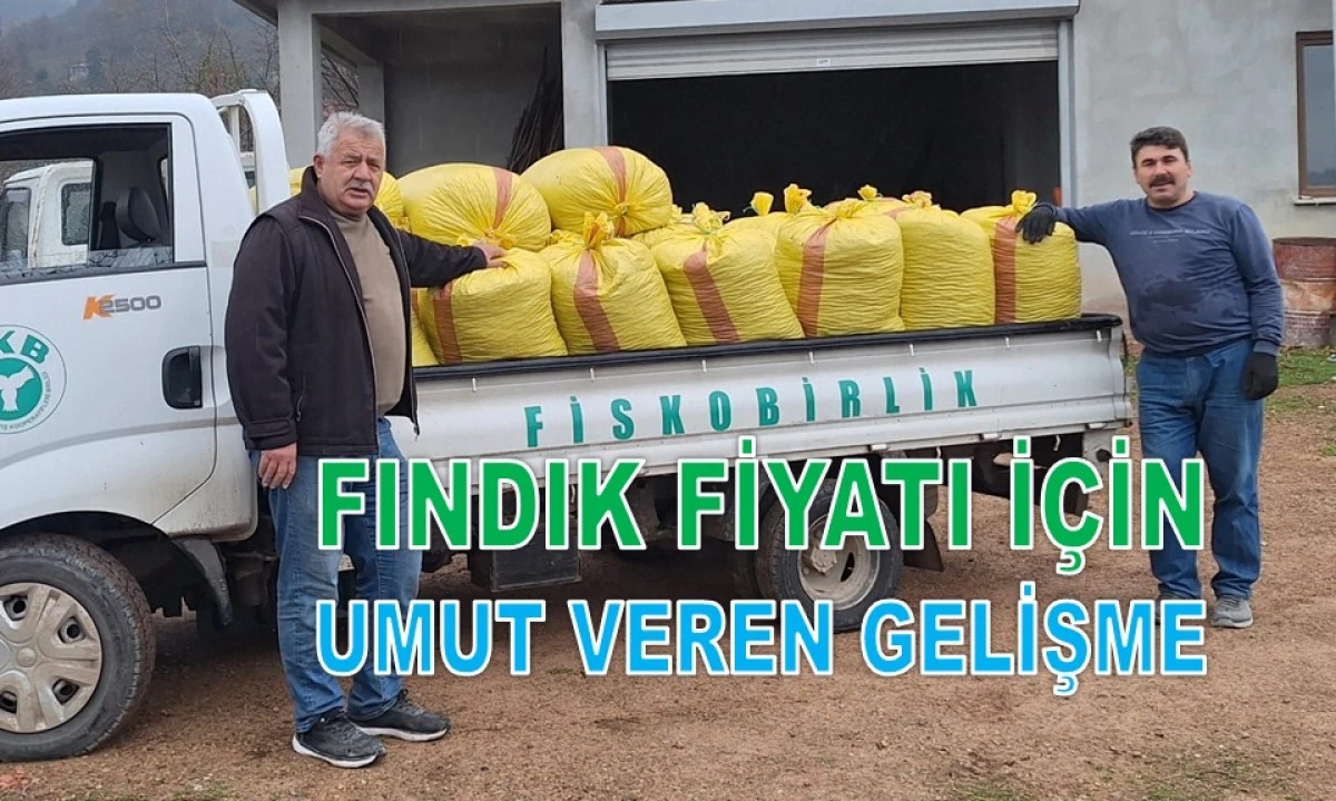 FİSKOBİRLİK'TE FINDIK FİYATI 10 LİRA ARTTI!