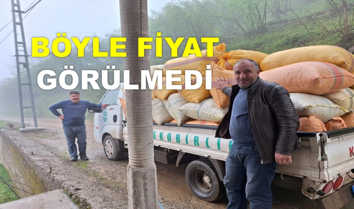 FİSKOBİRLİK'TE FINDIK FİYATI ARTMAYA DEVAM EDİYOR
