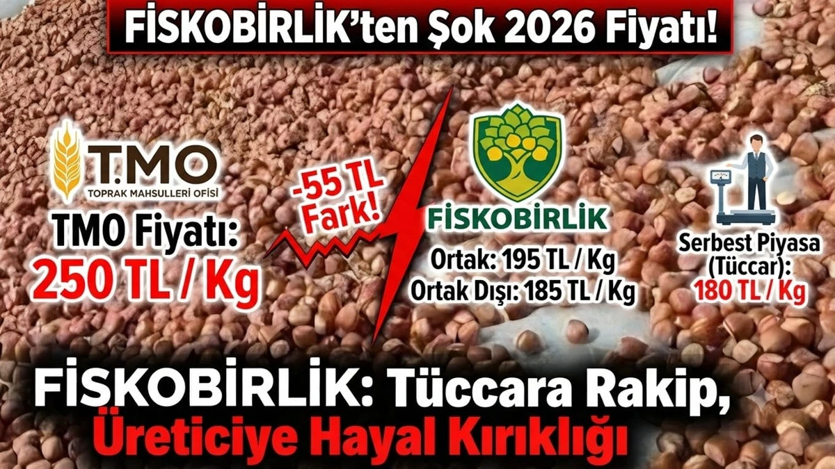 FİSKOBİRLİK'ten 2026 Fındık Fiyatı: Ortaklara 195 TL